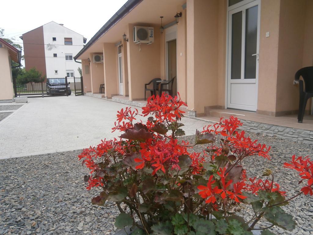Apartments Svetlica Бачки Петровац Екстериор снимка